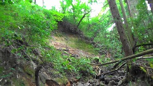 20200730154002(1)