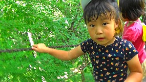 20200730155449(1)