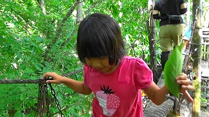 20200730155452(1)