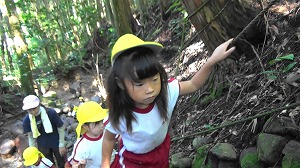 20200730161127(1)