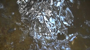 20200730161422(2)