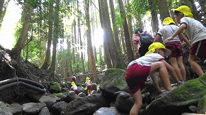 20200730161545(1)
