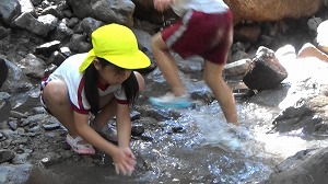 20200730161739(2)