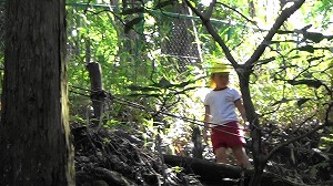 20200730161842(2)