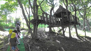 20200730164542(1)