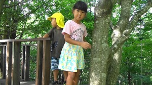 20200730164740(1)