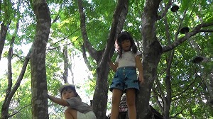 20200730164848(1)