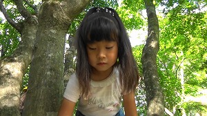 20200730164902(1)