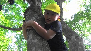 20200730165605(3)