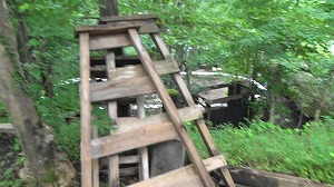 20200730180513(1)