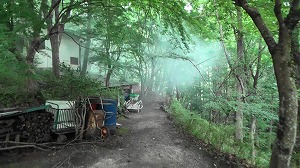 20200730185332(1)