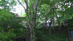 20200730191305(2)