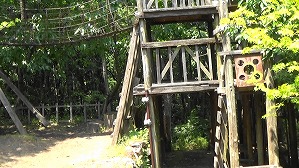 20200802140712(1)