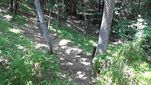 20200802141355(1)