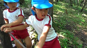 20200802141520(6)