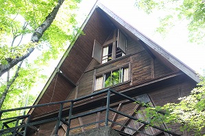 IMG_0411
