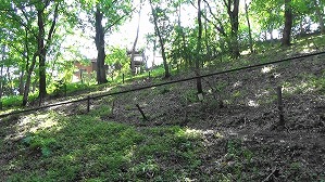 20200802141931(1)