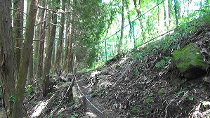 20200802142319(1)