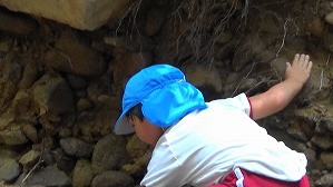 20200802142647(2)