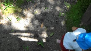20200802144018(1)