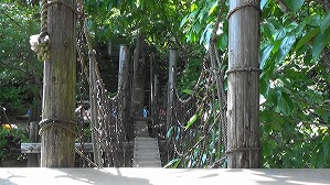 20200802144134(1)