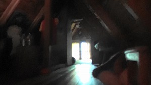20200802145025(2)