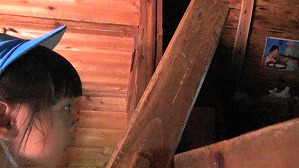 20200802145034(1)