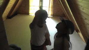 20200802145232(1)