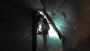 20200802150036(1)