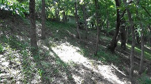 20200802152831(1)