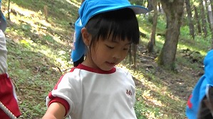 20200802153059(1)