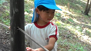 20200802153059(8)
