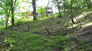 20200802153302(1)
