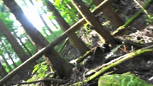 20200802153807(3)