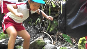 20200802153821(3)