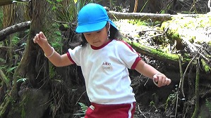 20200802153826(6)