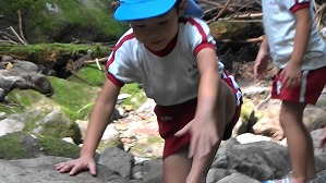 20200802153836(4)