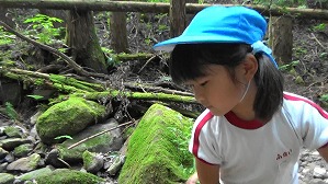 20200802153859(1)
