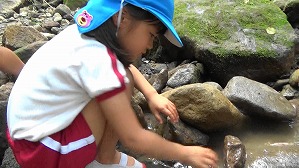 20200802154149(1)