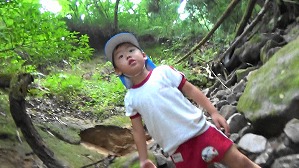 20200802154218(2)