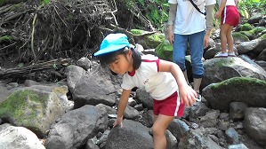 20200802154336(1)