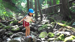 20200802154341(1)