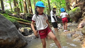 20200802155235(4)
