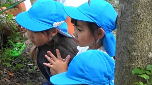 20200802183903(1)