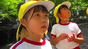 20200730150409(1)