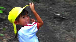 20200730153235(6)