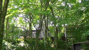 20200802131655(2)