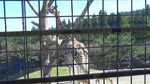 20201006122342(1)