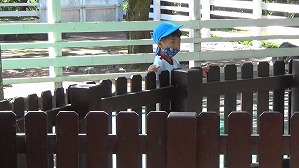 20201006144158(1)