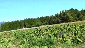 20201026112944(1)